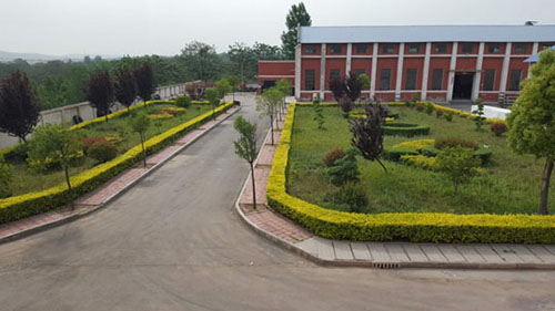 EPS線條產品是什么？